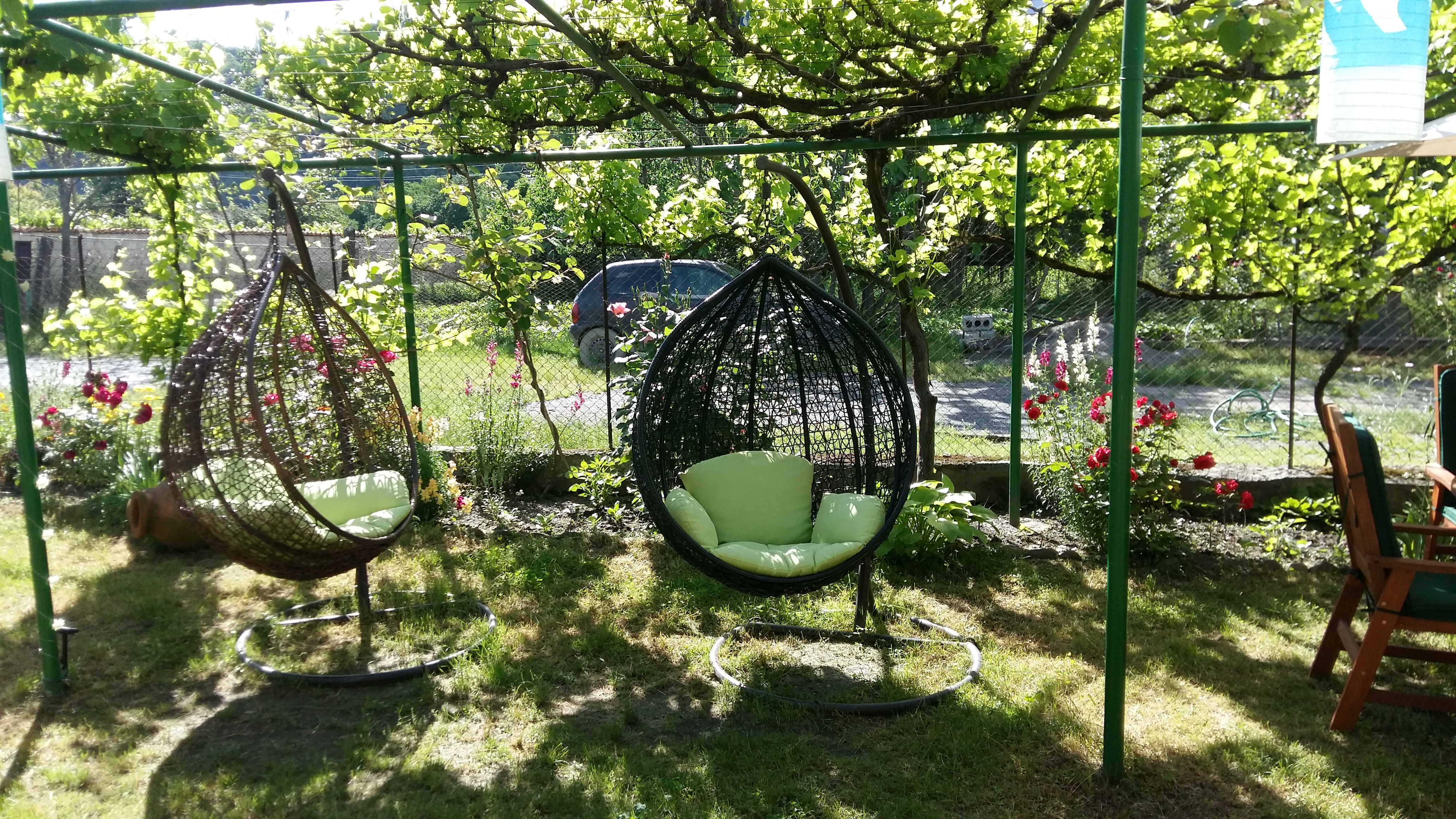 Basket swings hanging from a grape arbour in a sunny garden.